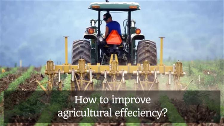 How to Improve Agricultural Efficiency?